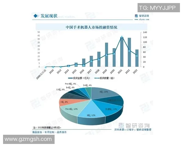 深圳排球队实力分析与未来发展趋势探讨